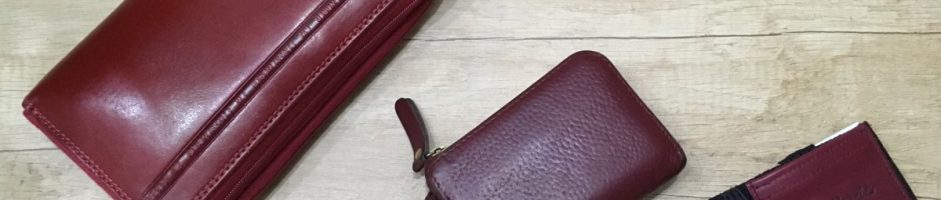 Najmanjša denarnica – Ziggie wallet